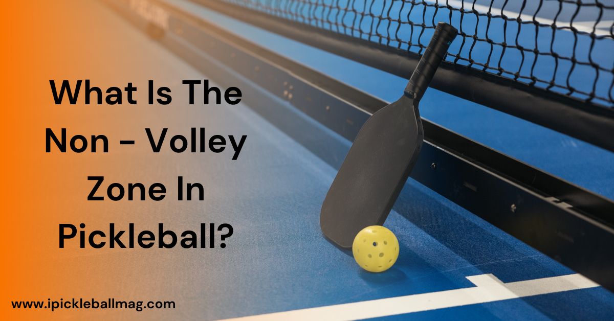 What Is The Non Volley Zone In Pickleball? An In-Depth Guide