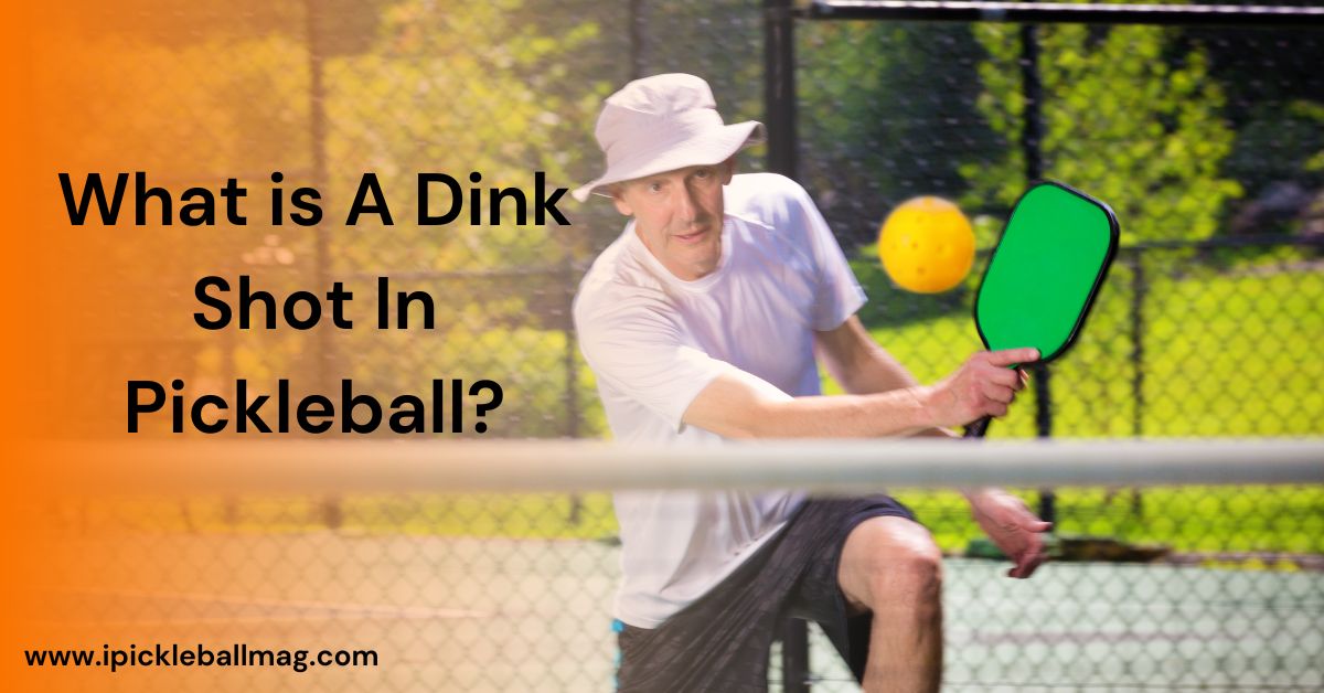 What Is A Dink Shot In Pickleball? A Rule You Should Know