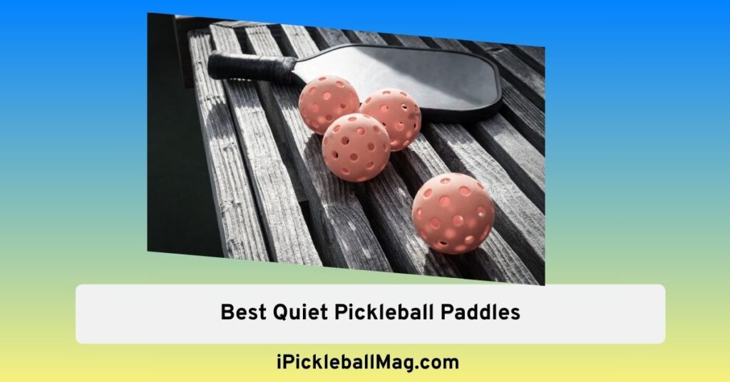 5 Best Quiet Pickleball Paddles for NoiseSensitive Neighborhoods