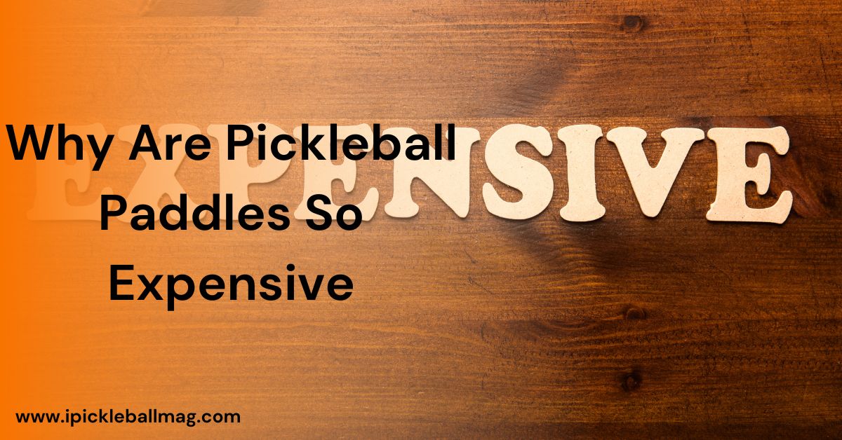 Understanding Why Are Pickleball Paddles So Expensive?